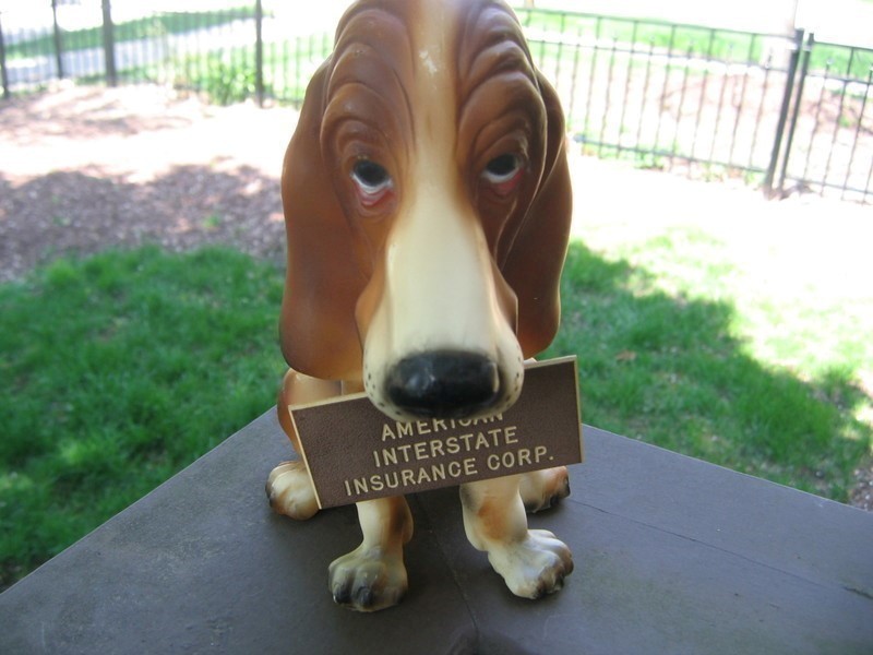 Dog Advertising for American Interstate Insurance