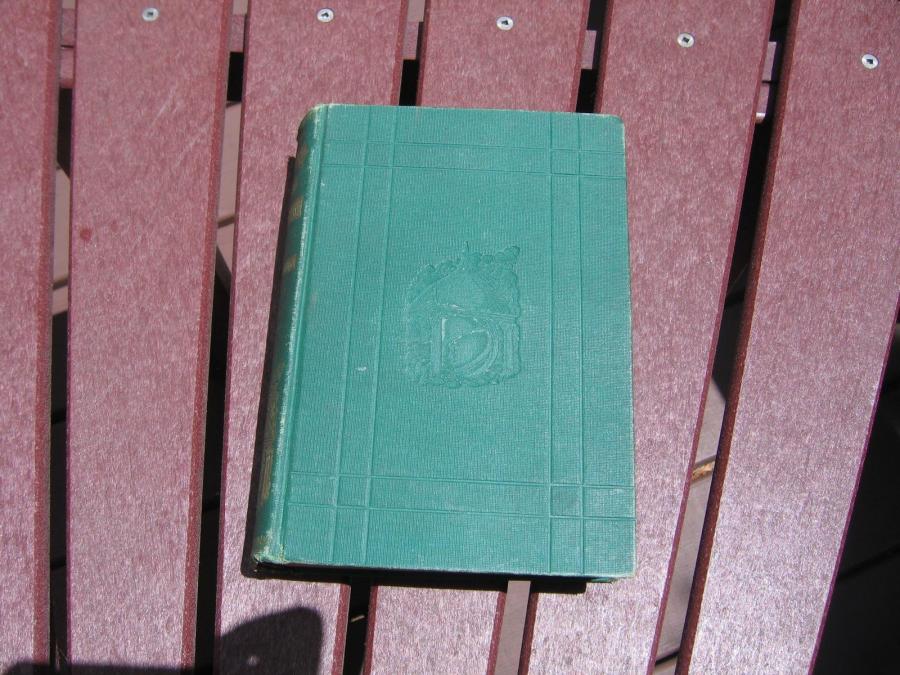 #132 Book: Chicago and the Great Conflagration