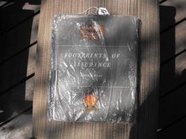 Footprints of Assurance Book. By Alwin E. Bulau.