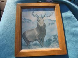 Hartford Ins framed picture