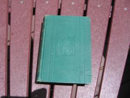 #132 Book: Chicago and the Great Conflagration